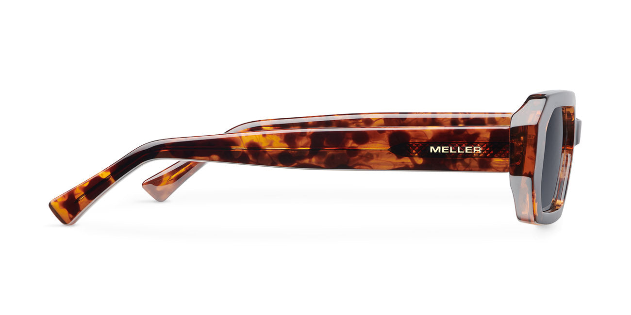 meller-esi-sonnenbrille-tigris-carbon image 3