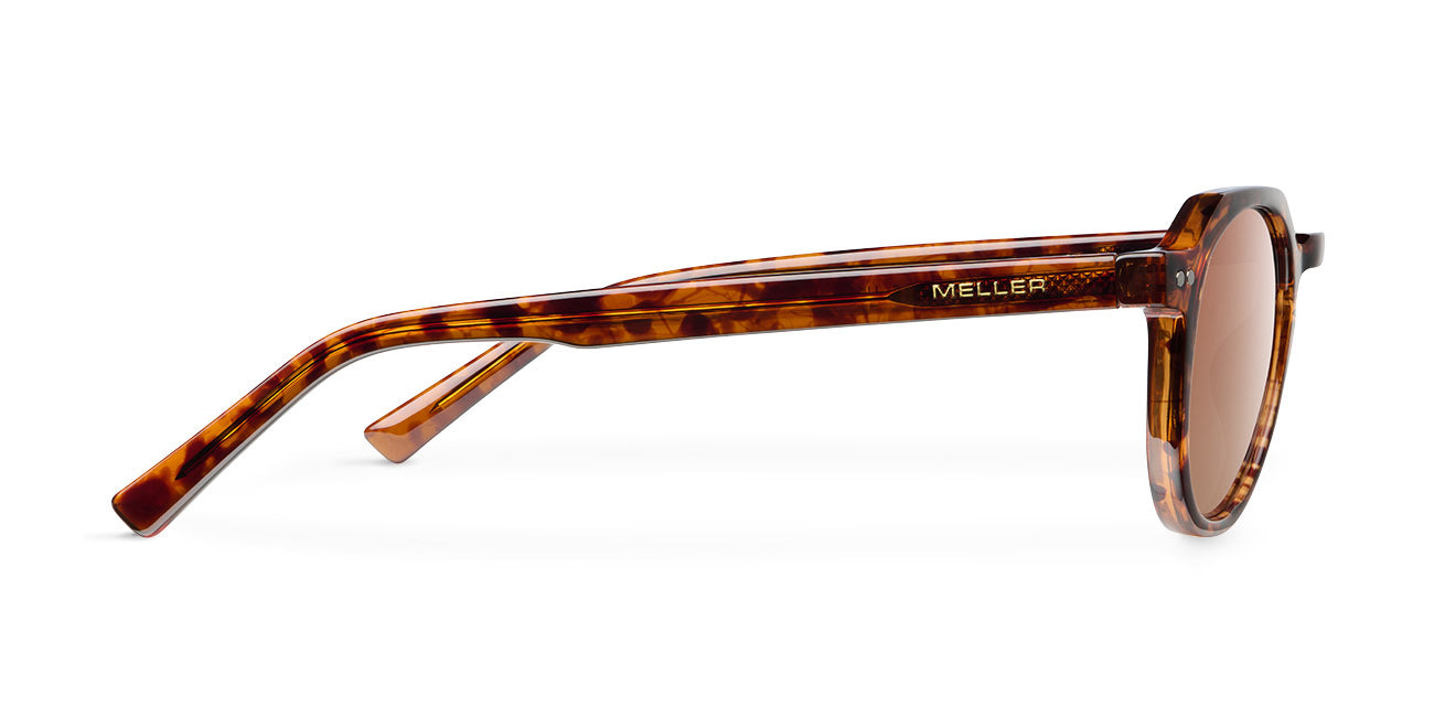 meller-chauen-sonnenbrille-tigris-brown-detailliertes-design-f-r-alle-gesichtsty image 3