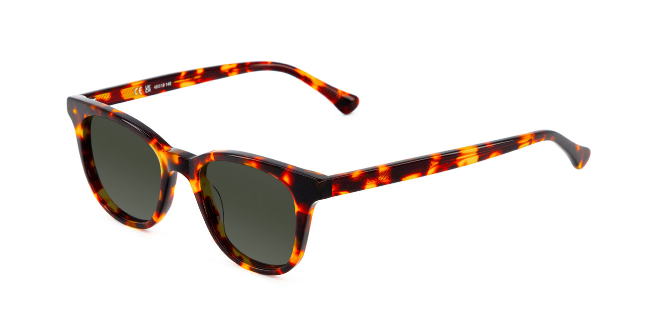 meller-jicho-havana-olive-sonnenbrille-cat-eye-acetat image 2