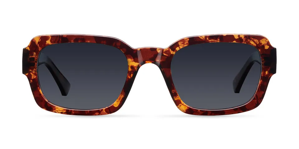 meller-lewa-tigris-carbon-sonnenbrille image 1
