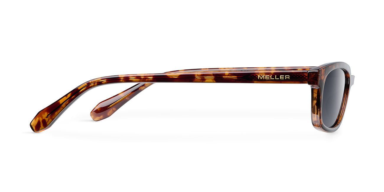 meller-eru-sonnenbrille-tigris-carbon image 3