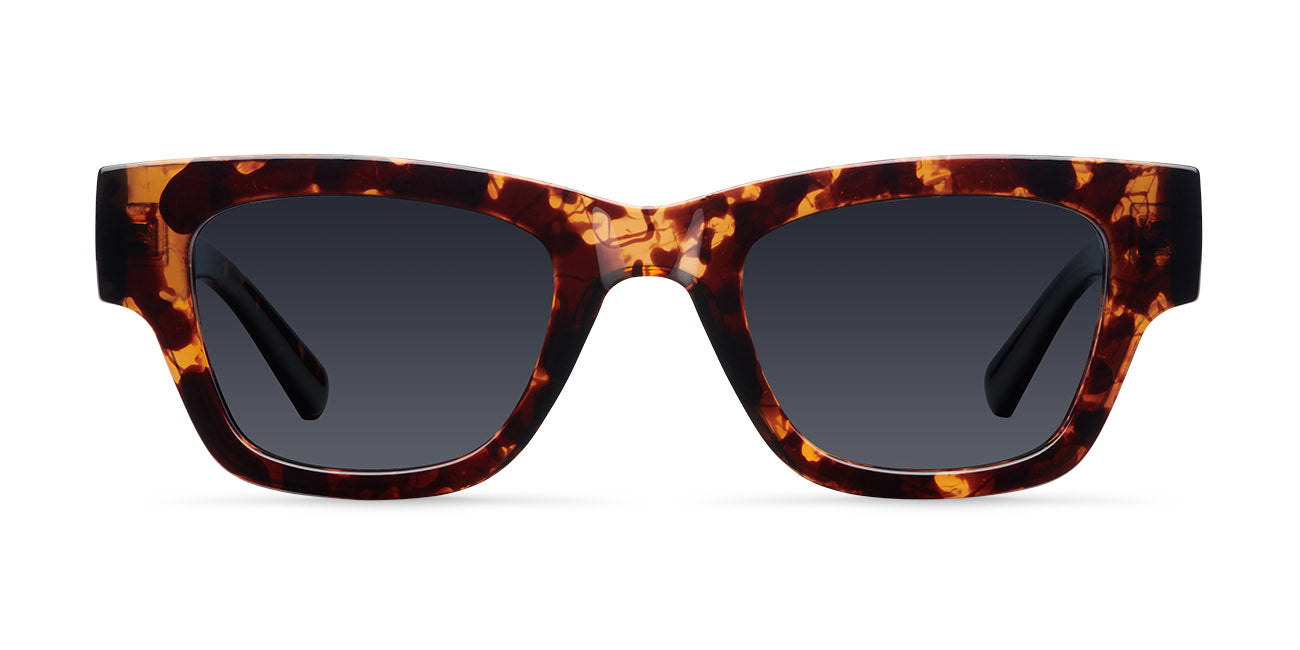 meller-zala-tigris-carbon-sonnenbrille image 1