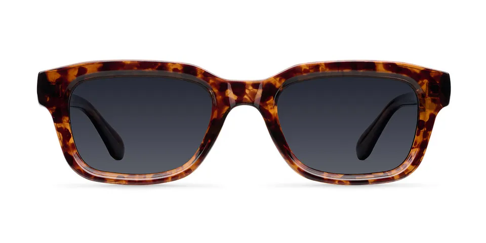 meller-biko-tigris-carbon-sonnenbrille image 1