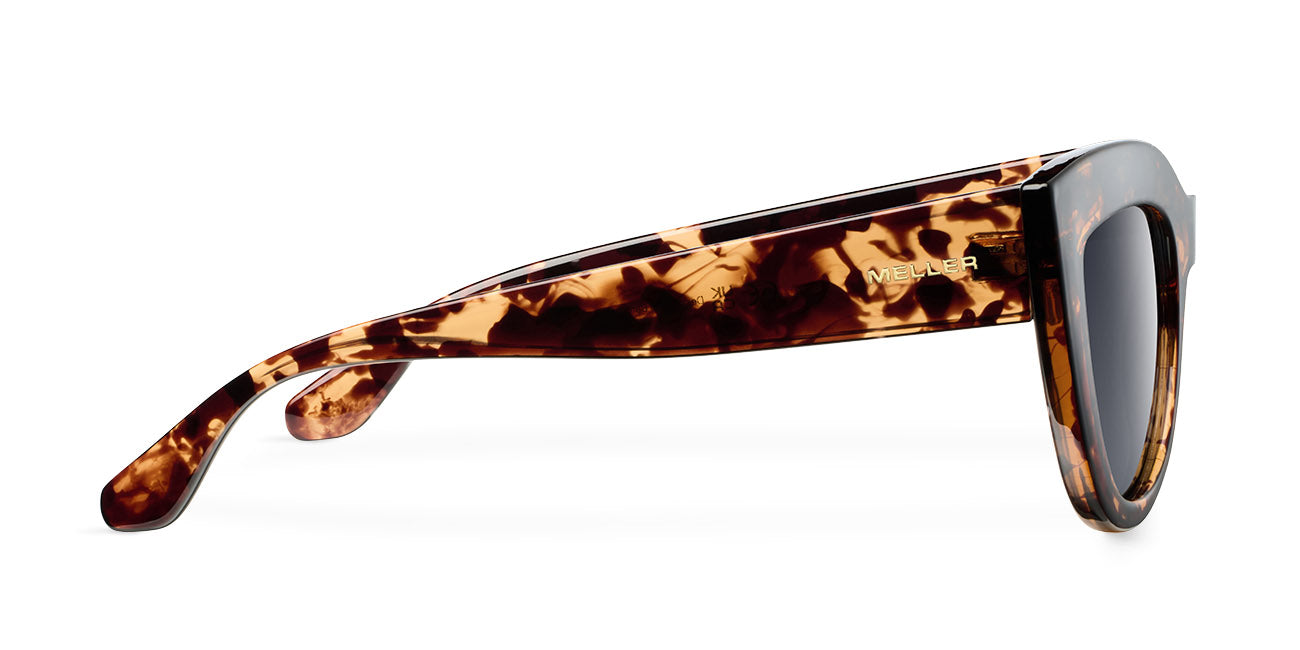 meller-karoo-tigris-carbon-sonnenbrille image 3