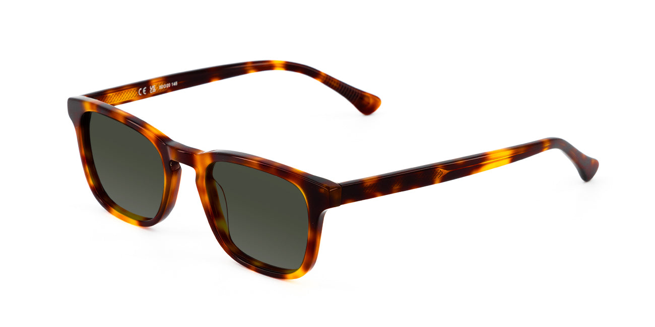 meller-panon-tortoise-olive-sonnenbrille image 2