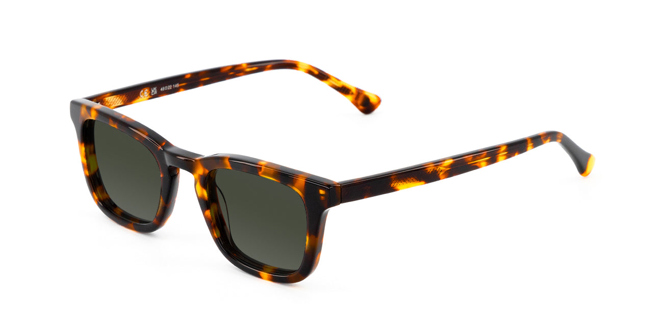 meller-oje-sonnenbrille-havana-olive image 2